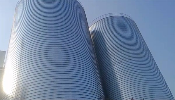 防城2座混凝土高架卷板仓